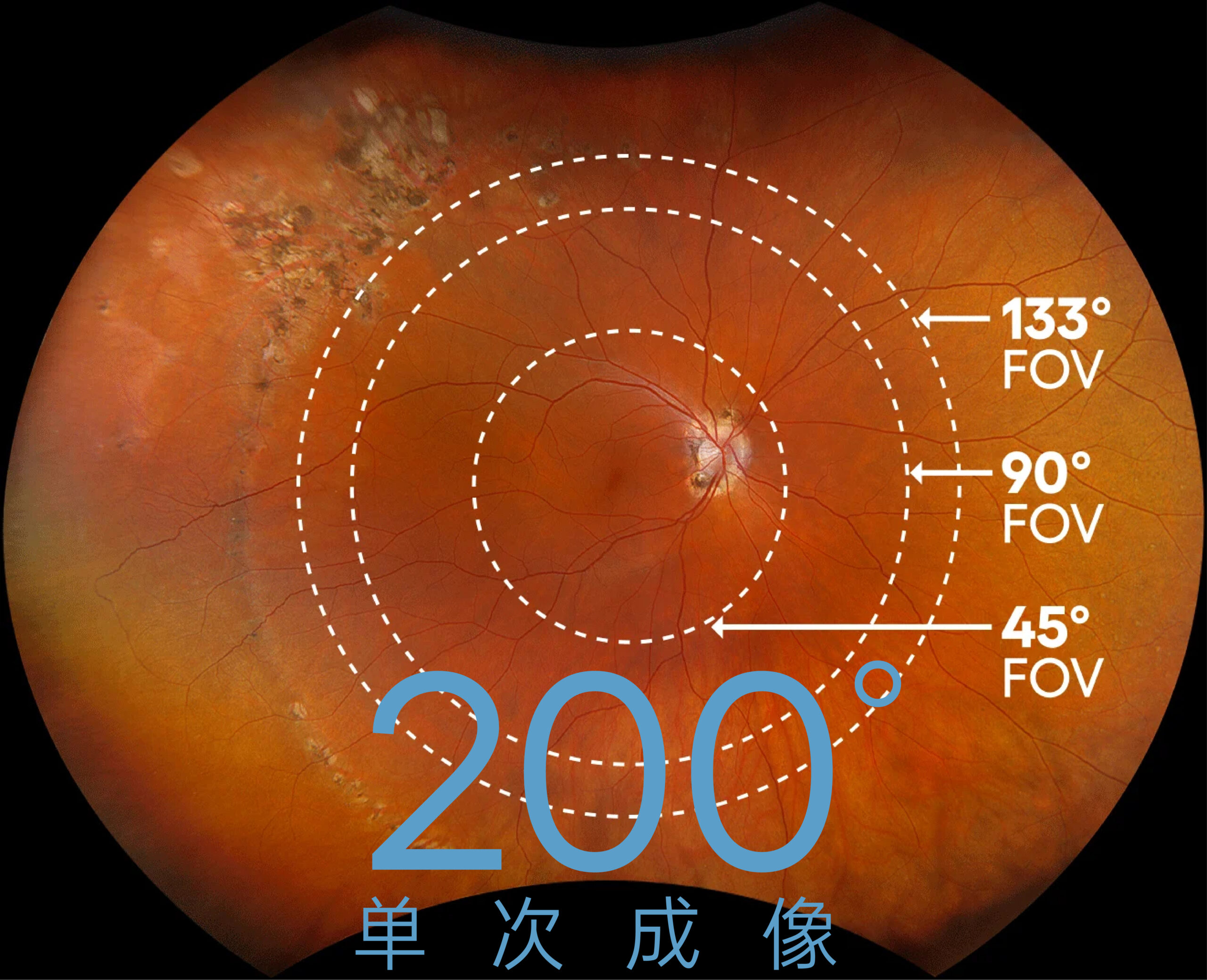 中国·太阳集团0638(股份)有限公司-官方网站